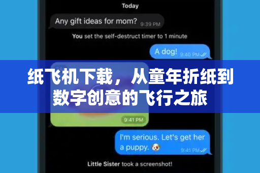 纸飞机下载，从童年折纸到数字创意的飞行之旅