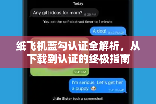 纸飞机蓝勾认证全解析，从下载到认证的终极指南