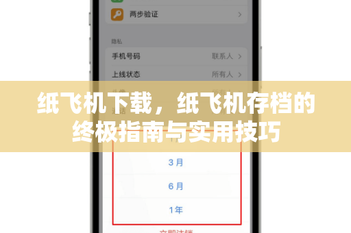 纸飞机下载，纸飞机存档的终极指南与实用技巧