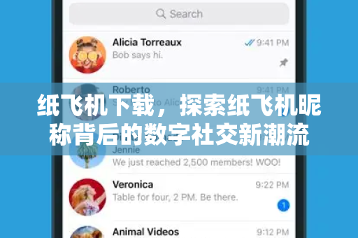 纸飞机下载，探索纸飞机昵称背后的数字社交新潮流