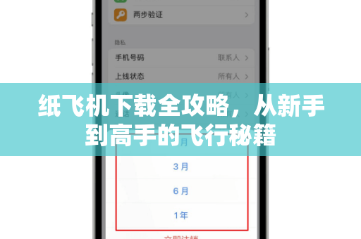 纸飞机下载全攻略，从新手到高手的飞行秘籍