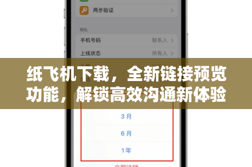 纸飞机下载，全新链接预览功能，解锁高效沟通新体验