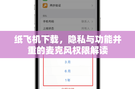 纸飞机下载，隐私与功能并重的麦克风权限解读