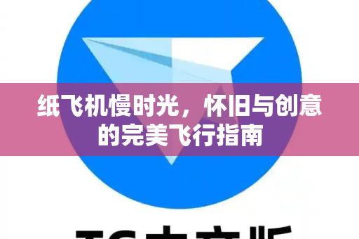 纸飞机慢时光，怀旧与创意的完美飞行指南