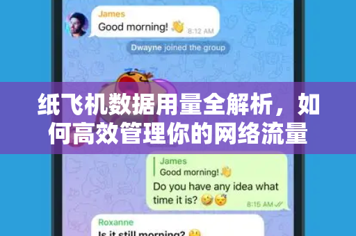 纸飞机数据用量全解析，如何高效管理你的网络流量