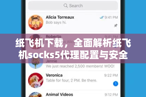 纸飞机下载，全面解析纸飞机socks5代理配置与安全使用指南