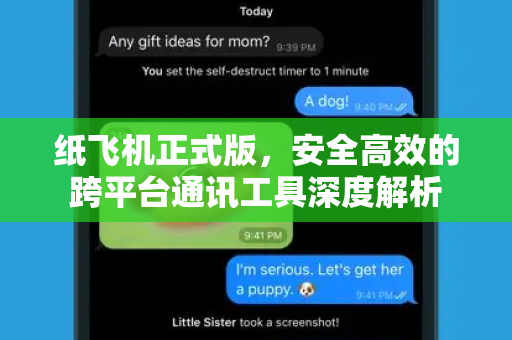 纸飞机正式版，安全高效的跨平台通讯工具深度解析