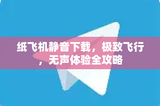 纸飞机静音下载，极致飞行，无声体验全攻略