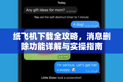 纸飞机下载全攻略，消息删除功能详解与实操指南