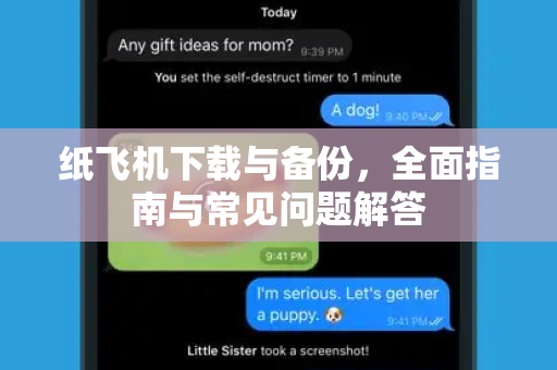 纸飞机下载与备份，全面指南与常见问题解答