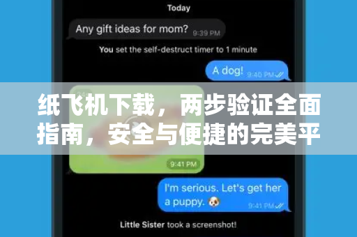 纸飞机下载，两步验证全面指南，安全与便捷的完美平衡