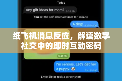 纸飞机消息反应，解读数字社交中的即时互动密码