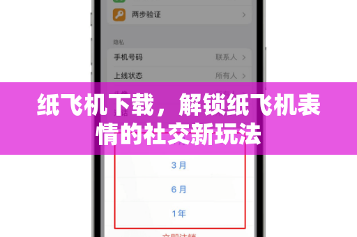 纸飞机下载，解锁纸飞机表情的社交新玩法