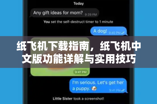 纸飞机下载指南，纸飞机中文版功能详解与实用技巧
