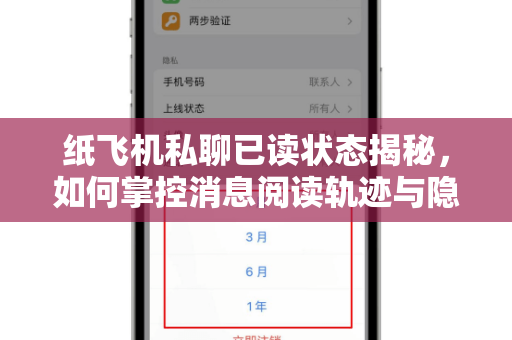 纸飞机私聊已读状态揭秘，如何掌控消息阅读轨迹与隐私边界