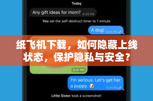 纸飞机下载,如何隐藏上线状态,保护隐私与安全?-第1张图片-纸飞机官网 - 安全加密聊天社交软件 | 纸飞机电脑版·PC桌面版 纸飞机下载,如何隐藏上线状态,保护隐私与安全?-第1张图片-纸飞机官网 - 安全加密聊天社交软件 | 纸飞机电脑版·PC桌面版