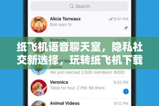 纸飞机语音聊天室，隐私社交新选择，玩转纸飞机下载全指南