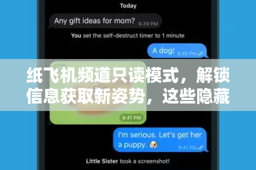 纸飞机频道只读模式，解锁信息获取新姿势，这些隐藏玩法你必须知道-第1张图片-纸飞机官网 - 安全加密聊天社交软件 | 纸飞机电脑版·PC桌面版