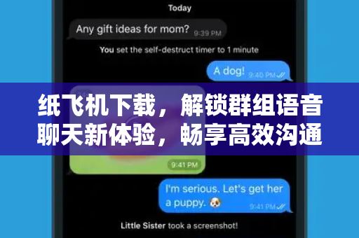 纸飞机下载，解锁群组语音聊天新体验，畅享高效沟通