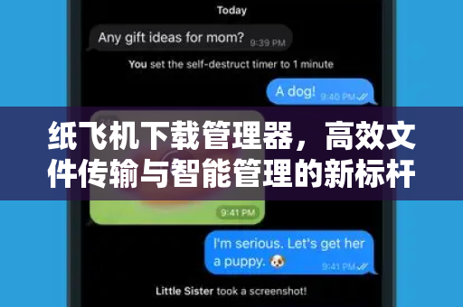 纸飞机下载管理器，高效文件传输与智能管理的新标杆