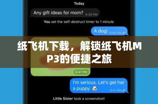 纸飞机下载，解锁纸飞机MP3的便捷之旅