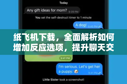 纸飞机下载，全面解析如何增加反应选项，提升聊天交互体验