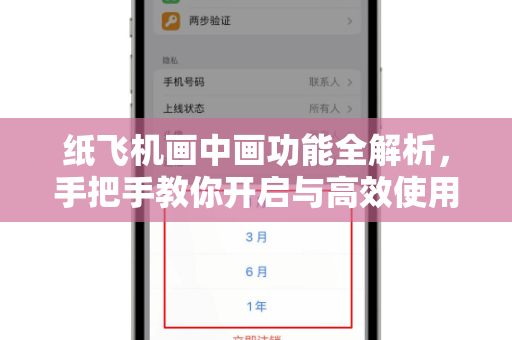 纸飞机画中画功能全解析，手把手教你开启与高效使用