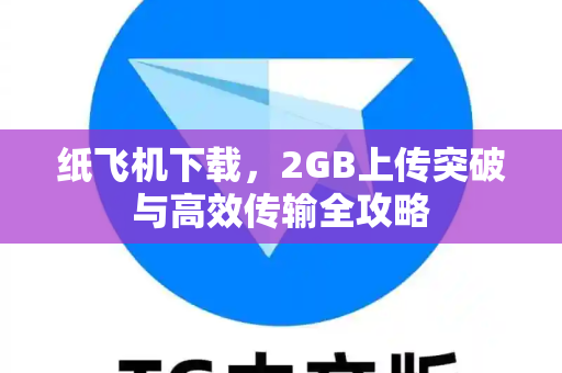 纸飞机下载，2GB上传突破与高效传输全攻略