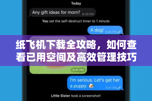 纸飞机下载全攻略，如何查看已用空间及高效管理技巧