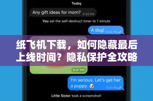 纸飞机下载，如何隐藏最后上线时间？隐私保护全攻略-第1张图片-纸飞机官网 - 安全加密聊天社交软件 | 纸飞机电脑版·PC桌面版
