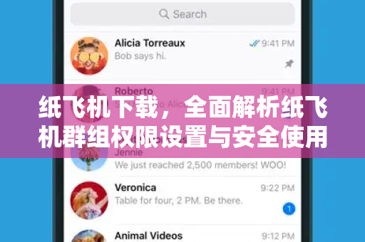 纸飞机下载，全面解析纸飞机群组权限设置与安全使用指南