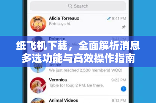 纸飞机下载，全面解析消息多选功能与高效操作指南