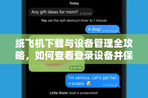 纸飞机下载与设备管理全攻略，如何查看登录设备并保障账号安全