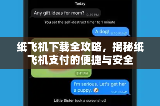 纸飞机下载全攻略，揭秘纸飞机支付的便捷与安全