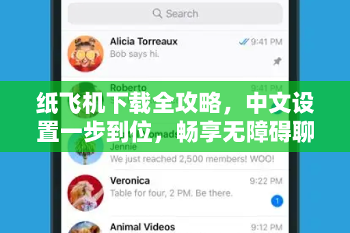 纸飞机下载全攻略，中文设置一步到位，畅享无障碍聊天体验