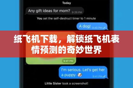 纸飞机下载，解锁纸飞机表情预测的奇妙世界-第1张图片-纸飞机官网 - 安全加密聊天社交软件 | 纸飞机电脑版·PC桌面版
