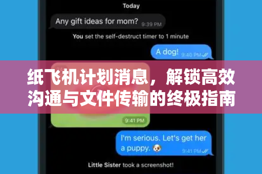 纸飞机计划消息，解锁高效沟通与文件传输的终极指南