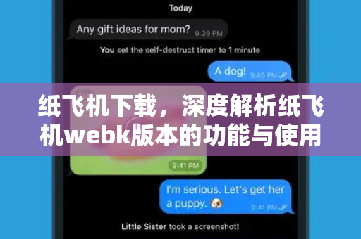 纸飞机下载，深度解析纸飞机webk版本的功能与使用指南