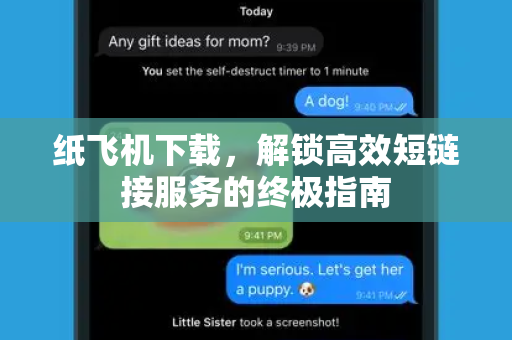 纸飞机下载，解锁高效短链接服务的终极指南