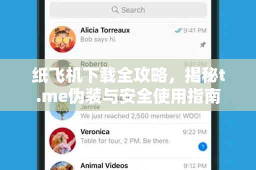 纸飞机下载全攻略，揭秘t.me伪装与安全使用指南