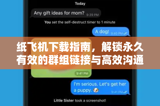 纸飞机下载指南，解锁永久有效的群组链接与高效沟通新方式