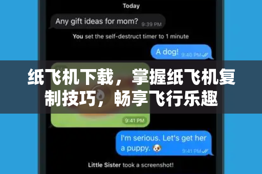 纸飞机下载，掌握纸飞机复制技巧，畅享飞行乐趣