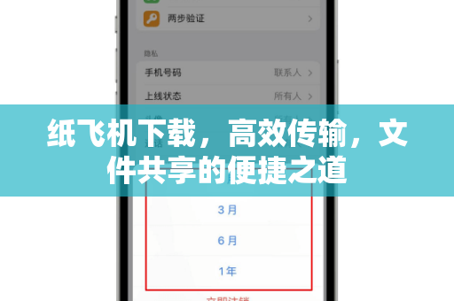 纸飞机下载，高效传输，文件共享的便捷之道-第1张图片-纸飞机官网 - 安全加密聊天社交软件 | 纸飞机电脑版·PC桌面版