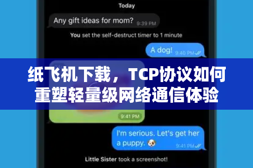 纸飞机下载，TCP协议如何重塑轻量级网络通信体验