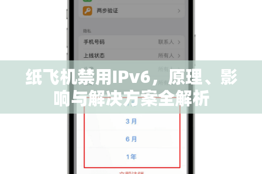 纸飞机禁用IPv6，原理、影响与解决方案全解析