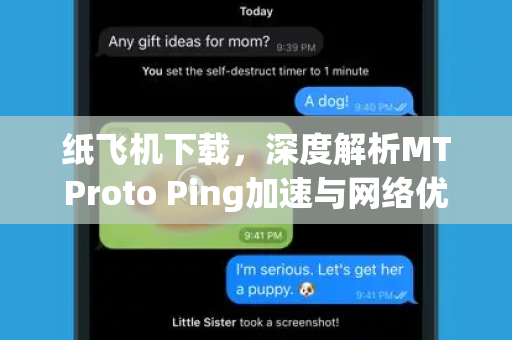 纸飞机下载，深度解析MTProto Ping加速与网络优化全攻略