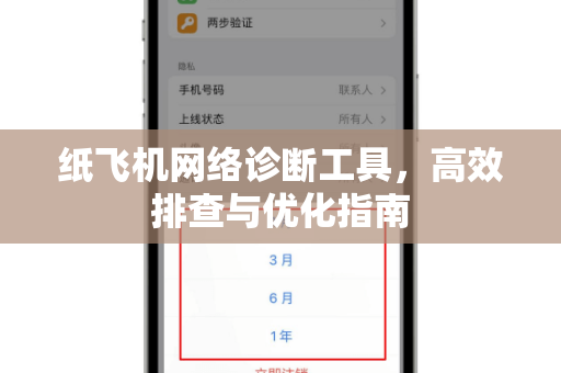 纸飞机网络诊断工具，高效排查与优化指南