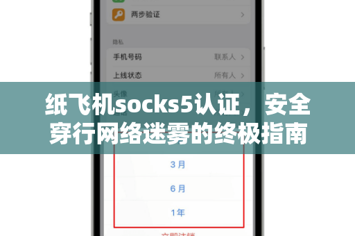 纸飞机socks5认证，安全穿行网络迷雾的终极指南-第1张图片-纸飞机官网 - 安全加密聊天社交软件 | 纸飞机电脑版·PC桌面版