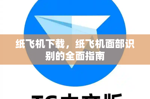 纸飞机下载，纸飞机面部识别的全面指南