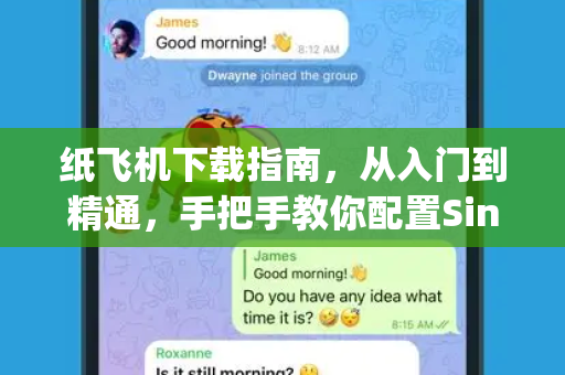 纸飞机下载指南,从入门到精通,手把手教你配置Singbox-第1张图片-纸飞机官网 - 安全加密聊天社交软件 | 纸飞机电脑版·PC桌面版 纸飞机下载指南,从入门到精通,手把手教你配置Singbox-第1张图片-纸飞机官网 - 安全加密聊天社交软件 | 纸飞机电脑版·PC桌面版